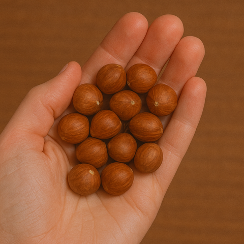 Nocciola Sgusciata Italiana Bio 200g