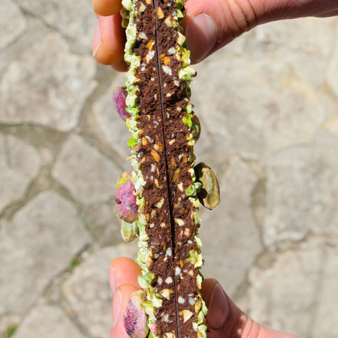 MANDORLONA FONDENTE e PISTACCHIO - 200g - GAS