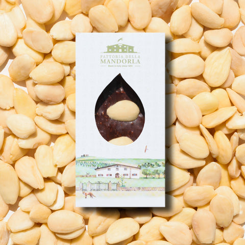 BARRETTA MANDORLA PELATA E CIOCCOLATO 40g