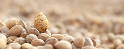 Filippo Cea: perché la mandorla di Toritto conquista chi cerca qualità, gusto e ingredienti puliti