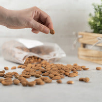 Migliori mandorle bio pugliesi: guida completa per scegliere qualità, gusto e benessere