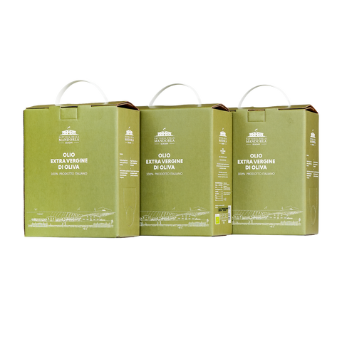 Comprare olio evo bio pugliese: come scegliere bene