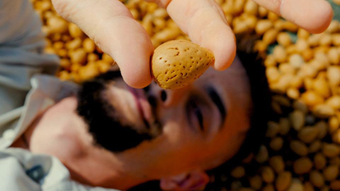 Mandorle - Come Superalimento per il Tuo Benessere