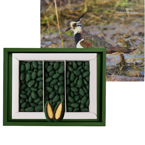 CASSETTA MANDORLINO - Mandorla, Fondente Spirulina