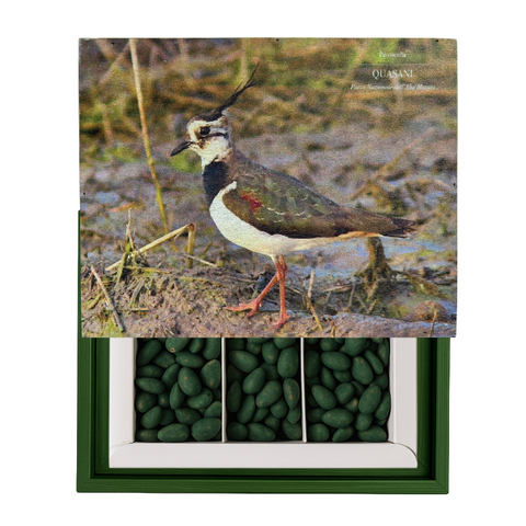 CASSETTA MANDORLINO - Mandorla, Fondente Spirulina