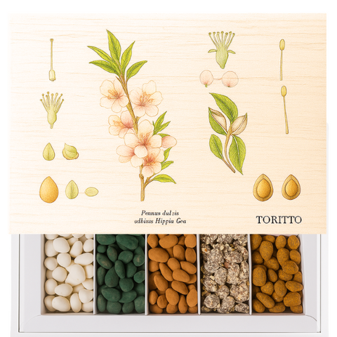 CASSETTA Mandorlini di Toritto - Assortiti