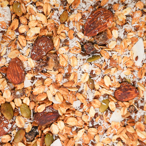 GRANOLA DATTERI E COCCO BIO - Busta gr. 400
