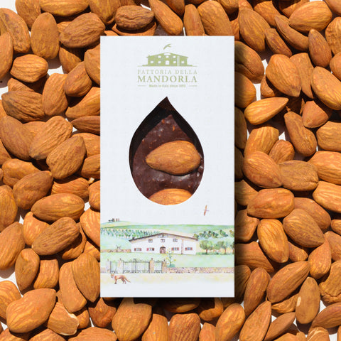 BARRETTA MANDORLA TOSTATA E CIOCCOLATO 40g