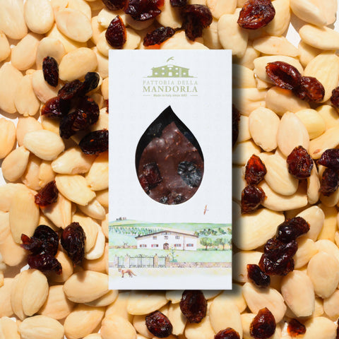 BARRETTA MIRTILLO E CIOCCOLATO 40g